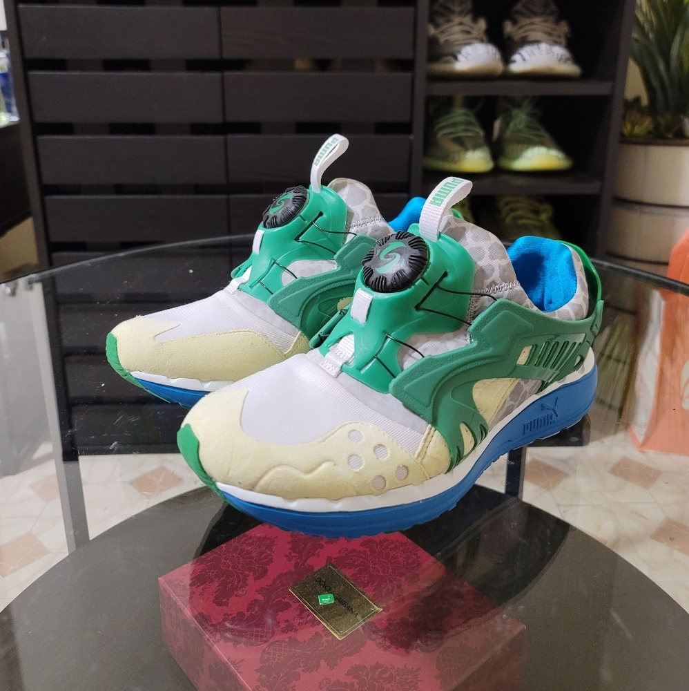 Puma Disc